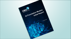 AI Foundation Models: Initial Report